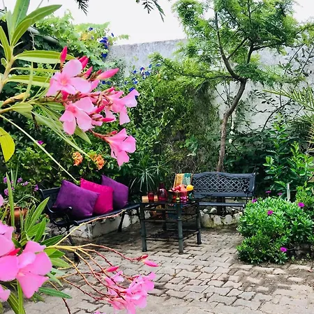 Bed and breakfast Ceu Sobre Montejunto Boutique Cadaval