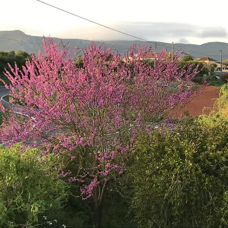 Bed and breakfast Ceu Sobre Montejunto Boutique *